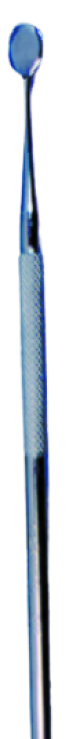 46233